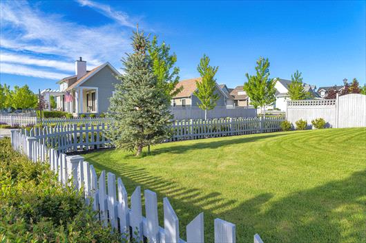 spring lawn