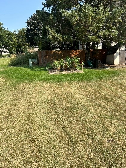 drought lawn